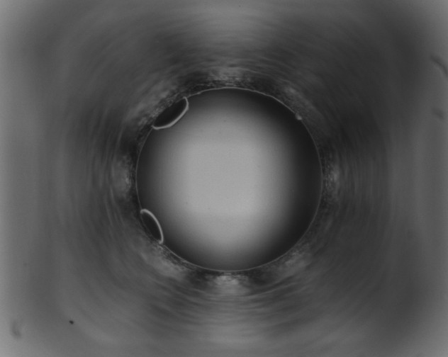 X0000101950566200807181453