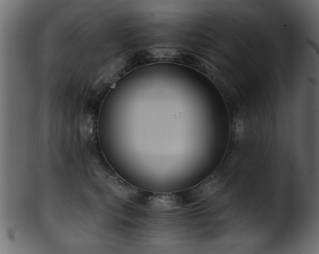 X0000101950567200807181453