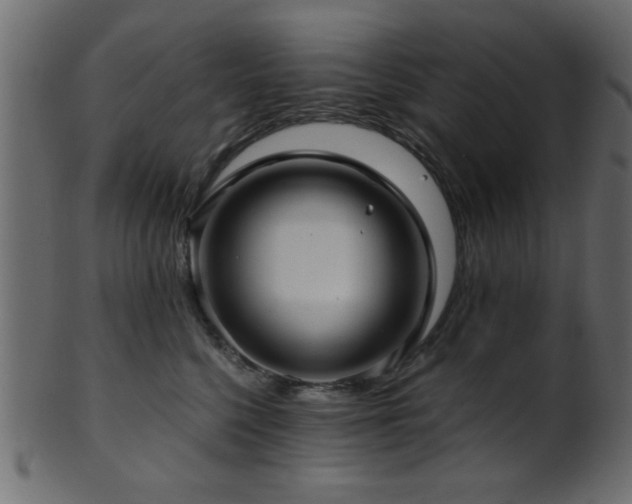 X0000101950568200807181453