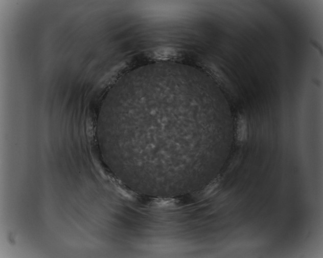 X0000101950569200807181453