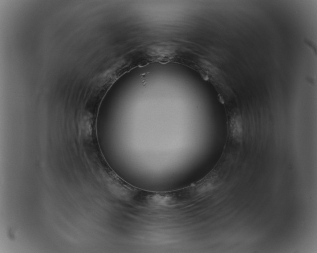 X0000101950570200807181453