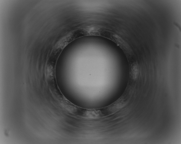 X0000101950571200807181453