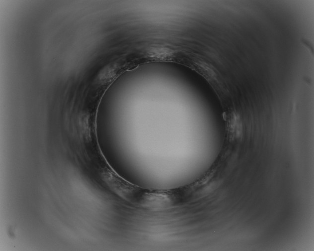 X0000101950572200807181453