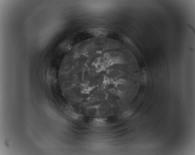 X0000101950573200807181453