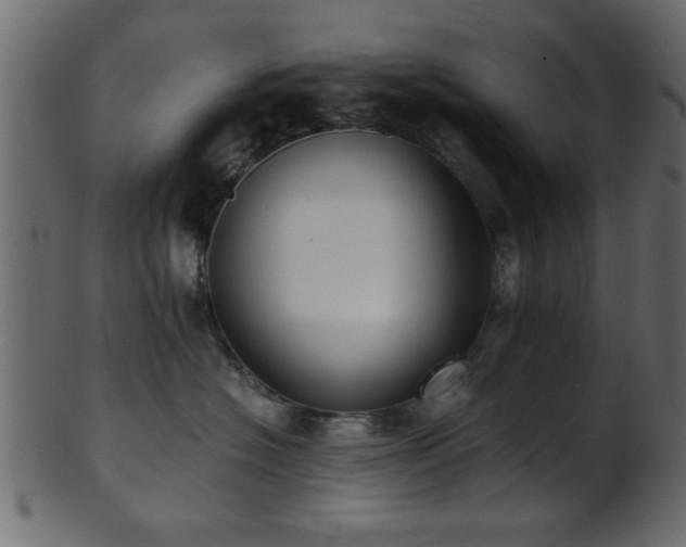 X0000101950574200807181453