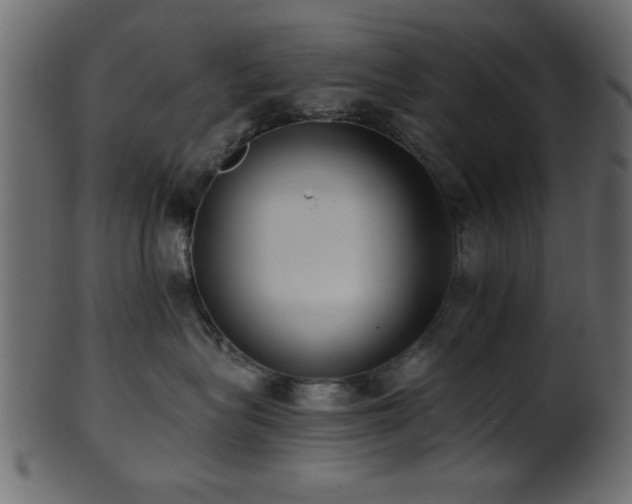 X0000101950575200807181453