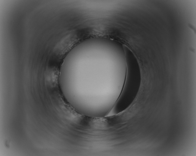 X0000101950576200807181453