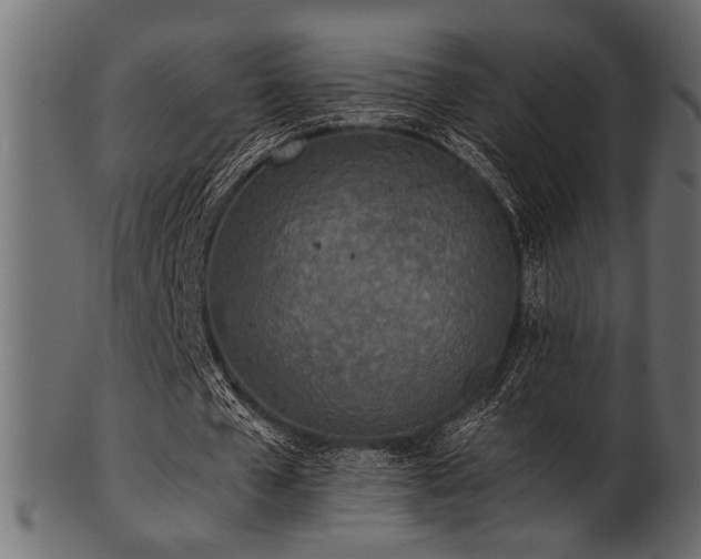 X0000101950577200807181452