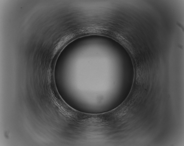 X0000101950578200807181452