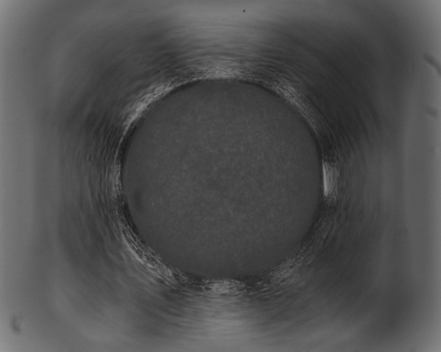 X0000101950579200807181452