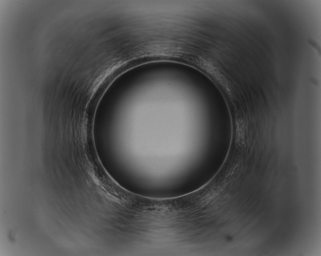 X0000101950580200807181452