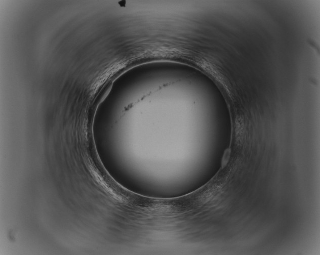 X0000101950581200807181452