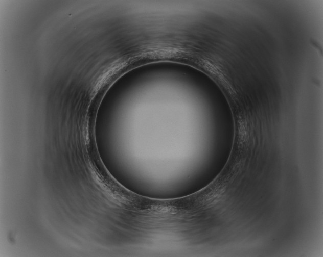 X0000101950582200807181452