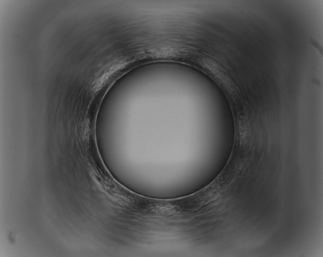 X0000101950583200807181452