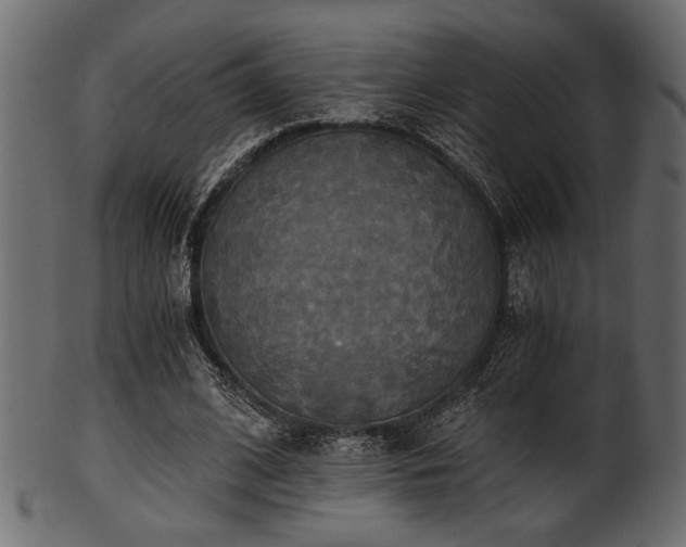 X0000101950584200807181452