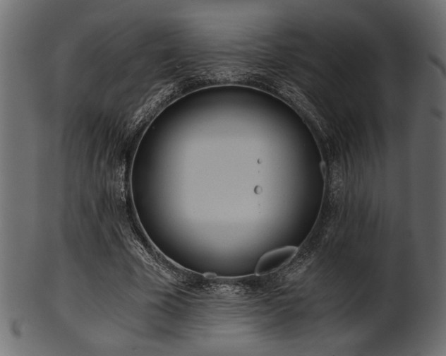 X0000101950585200807181452