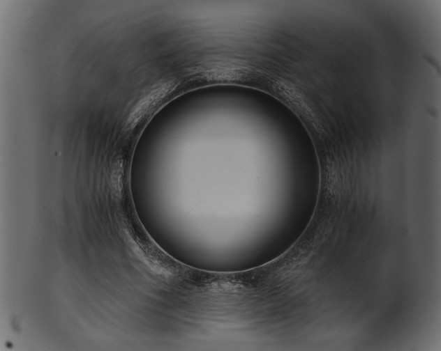 X0000101950586200807181452