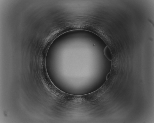 X0000101950587200807181452