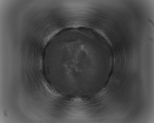 X0000101950588200807181452