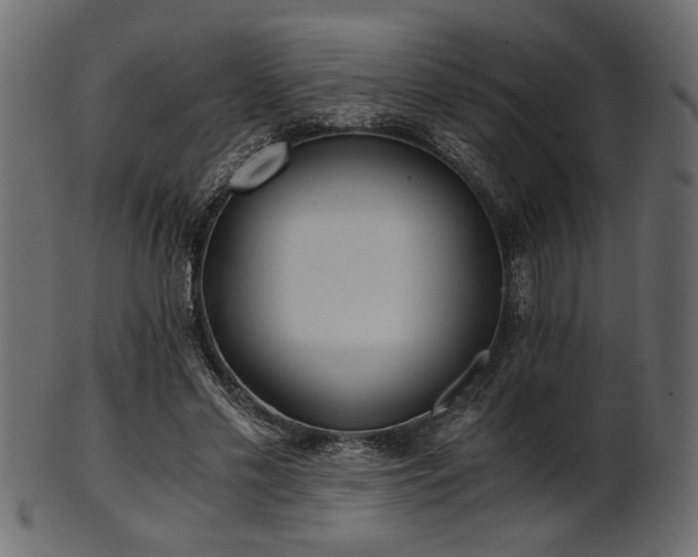 X0000101950589200807181452