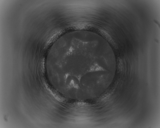 X0000101950590200807181452