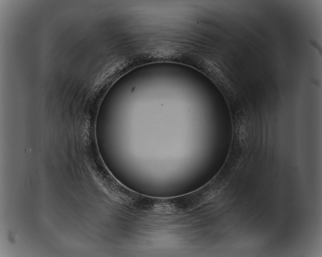 X0000101950591200807181452