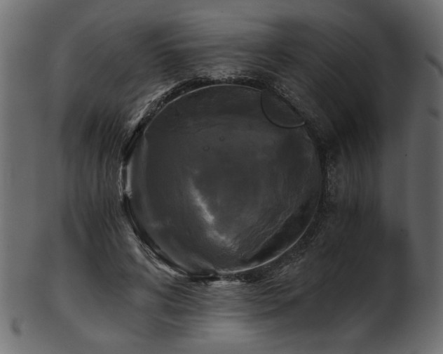 X0000101950592200807181452