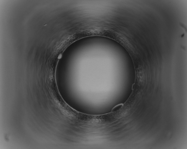 X0000101950593200807181452