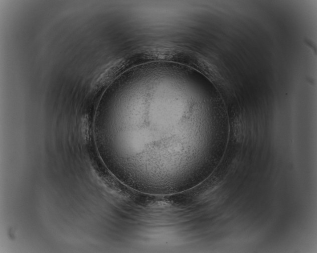 X0000101950594200807181452