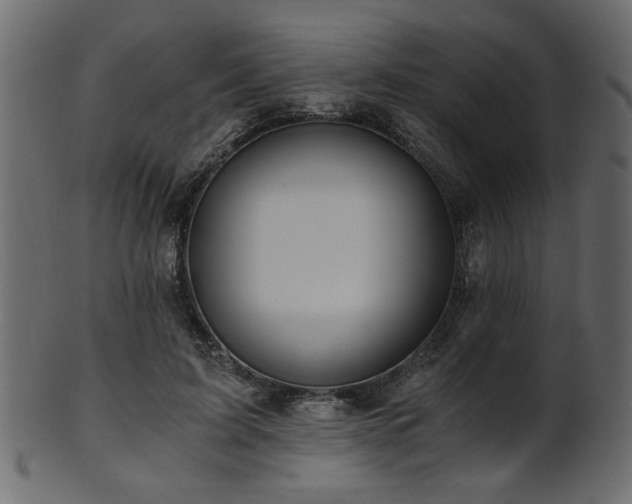 X0000101950595200807181452