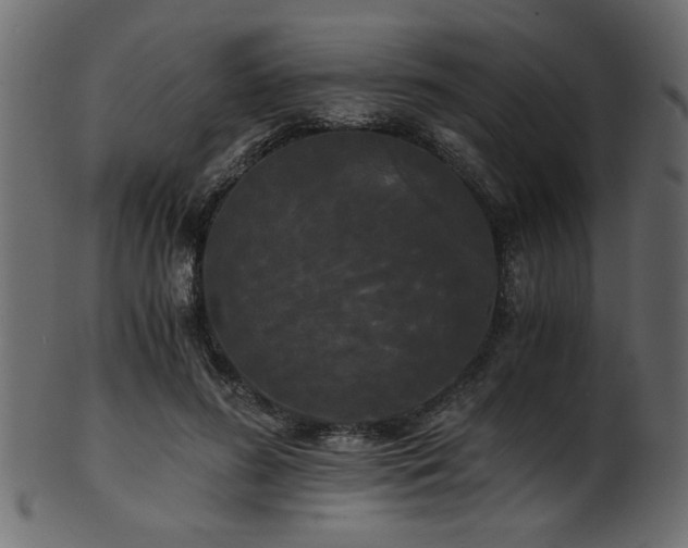 X0000101950596200807181452