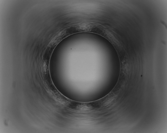 X0000101950597200807181452