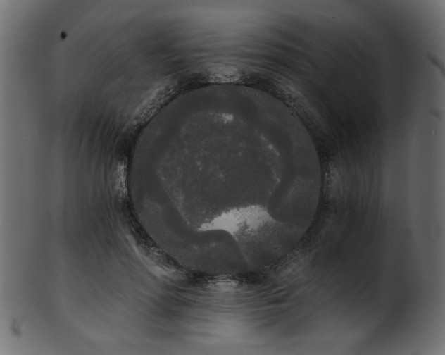 X0000101950598200807181452