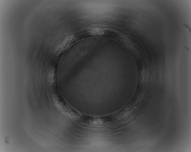 X0000101950600200807181452