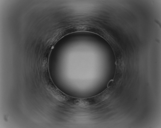 X0000101950601200807181452