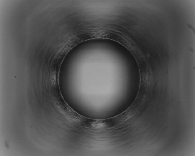 X0000101950602200807181452