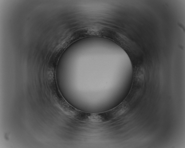 X0000101950603200807181452