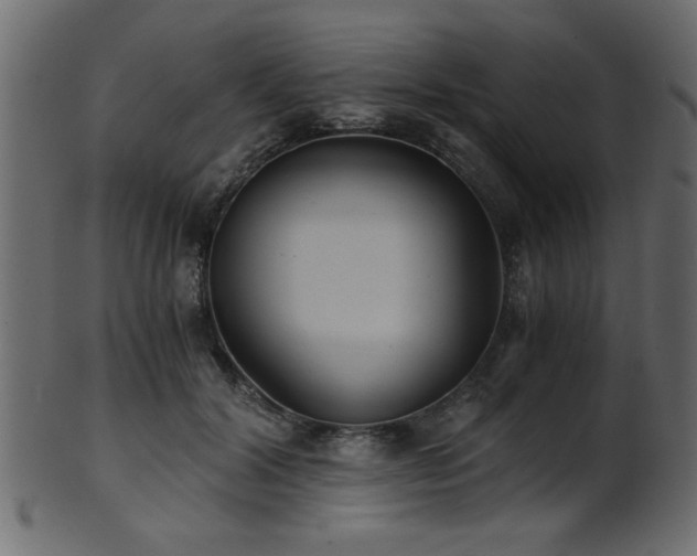 X0000101950604200807181452