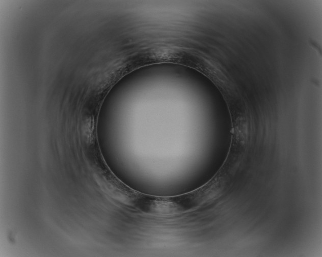 X0000101950605200807181452