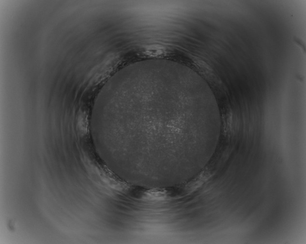 X0000101950606200807181452