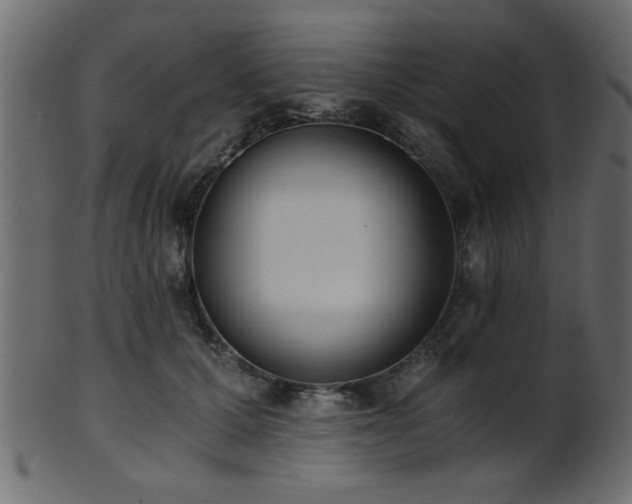 X0000101950607200807181452