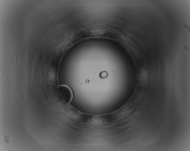 X0000101950608200807181452