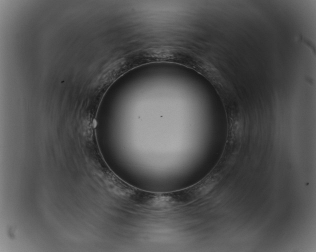 X0000101950609200807181452