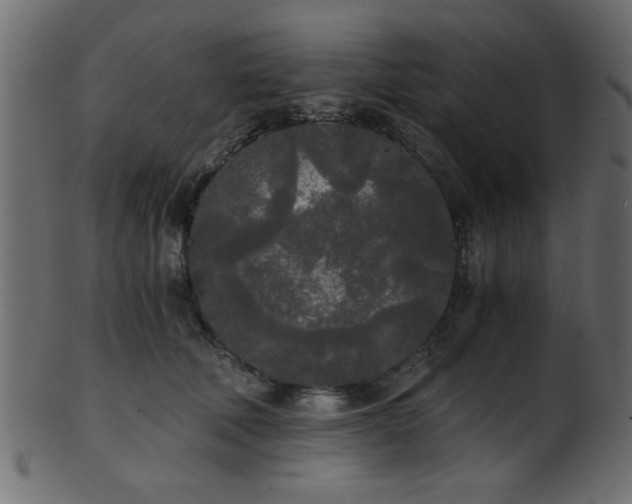 X0000101950610200807181452