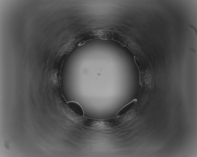 X0000101950611200807181452