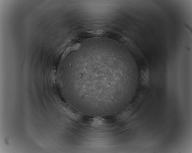 X0000101950612200807181452