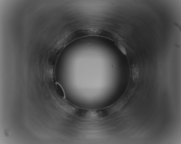 X0000101950613200807181452