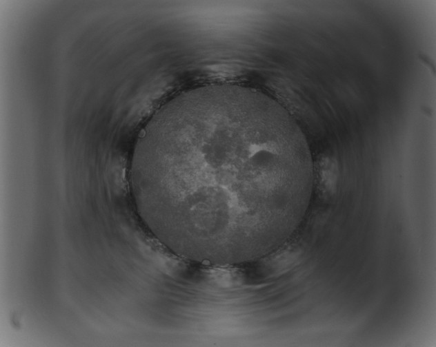 X0000101950615200807181452