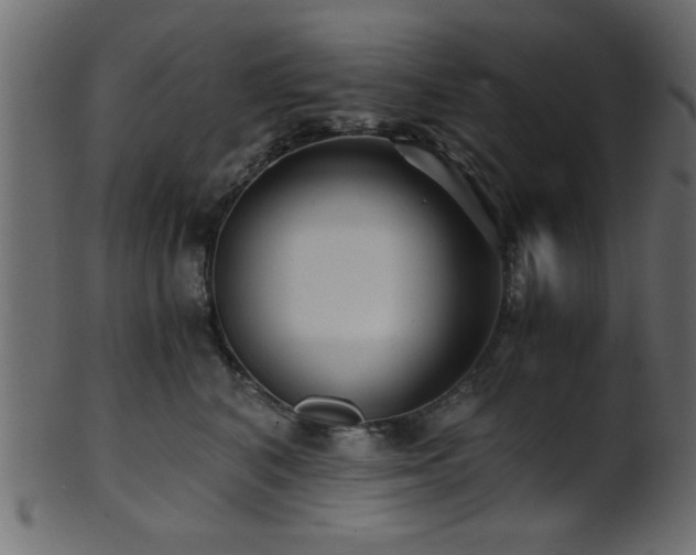 X0000101950616200807181452