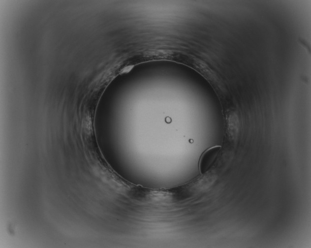 X0000101950617200807181452